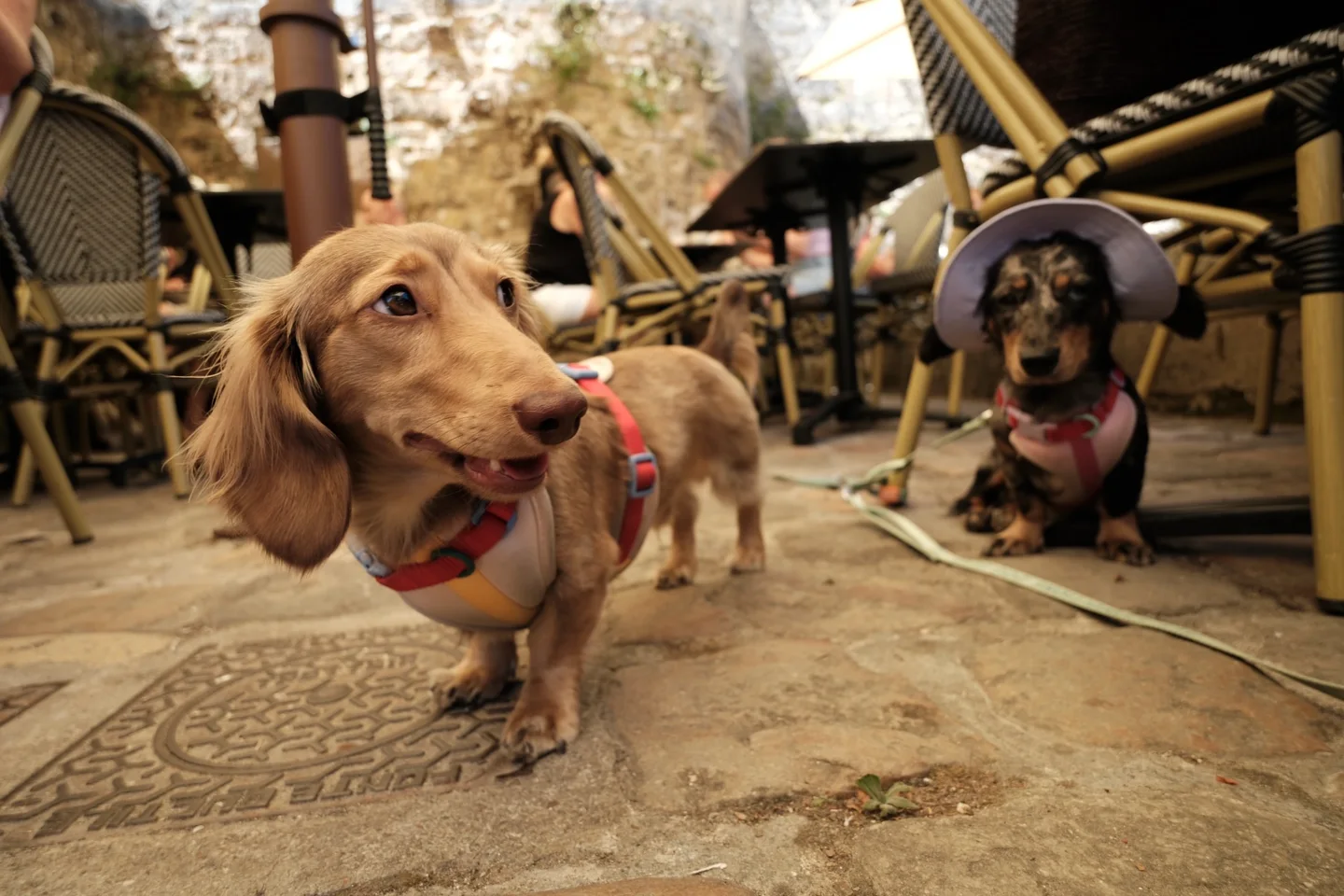 Arthur and Stowe investigating a café patio; Stowe is wearing her lavender hat